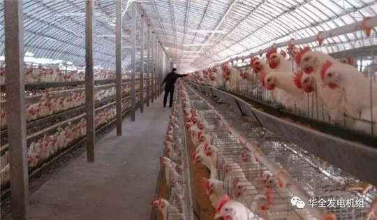 華全燃?xì)獍l(fā)電機(jī)組深受畜牧養(yǎng)殖業(yè)喜愛，竟是因?yàn)檫@！